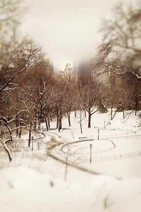 Framed Central Park in Winter Print