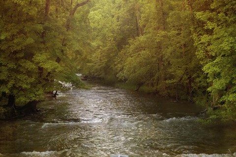 Framed Creek Print