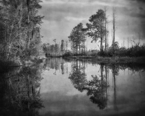 Framed Dark Swamp Print
