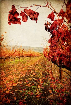 Framed Autumn Vines Print