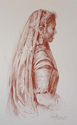 Framed Sari Print