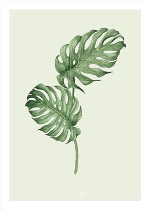 Framed Leaf Green Print