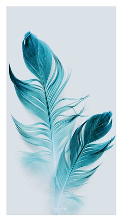 Framed Feather II Print