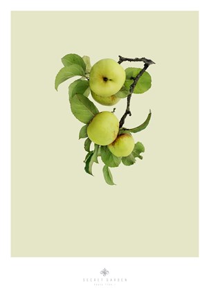 Framed Apple Tree I Print