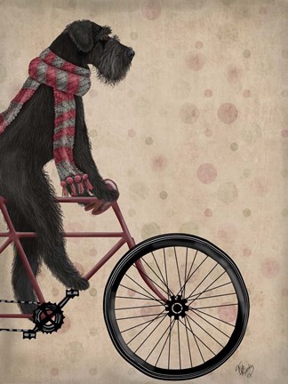 Framed Schnauzer on Bicycle, Black Print