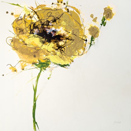 Framed Yellow Poppy Master on White Print