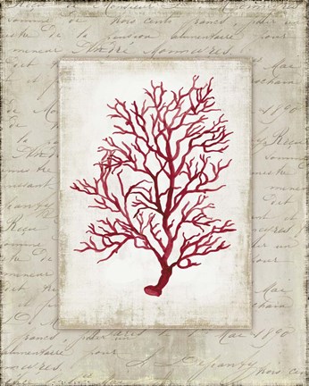 Framed Red Coral III Border Print