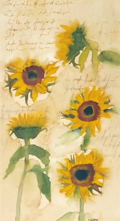 Framed Sunflowers on Script Print