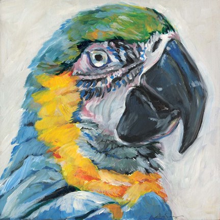 Framed Parrot II Print