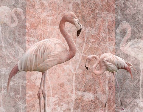 Framed Pink Flamingo Birds Print