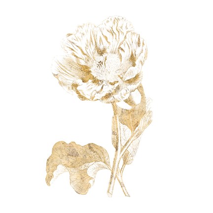 Framed Gilded Botanical VII Sq Print