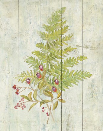 Framed Natural Floral XII Print