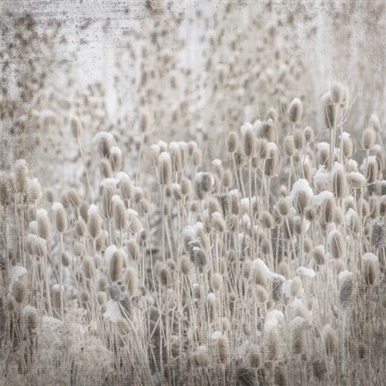 Framed My Farm My Way Photos 2 Print