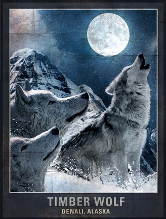 Framed Wolf Moon Print
