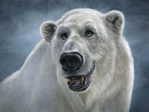 Framed Polar Bear Totem Print