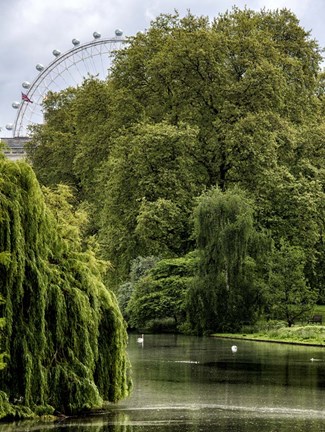 Framed View of St James&#39;s Park Lake and the Millennium Wheel - London Print