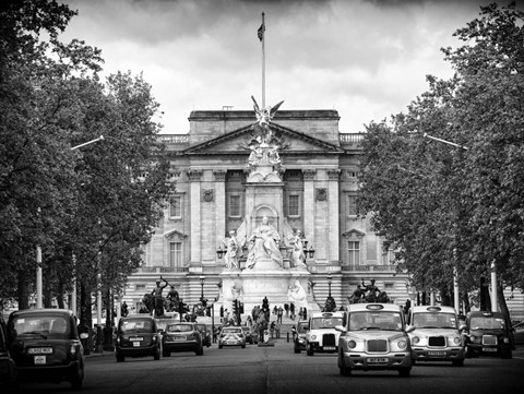 Framed Buckingham Palace and Black Cabs - London Print