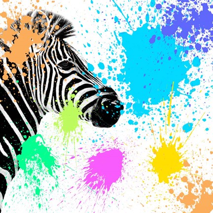 Framed Safari Colors Pop Collection - Zebra Print