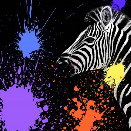 Framed Safari Colors Pop Collection - Zebra II Print