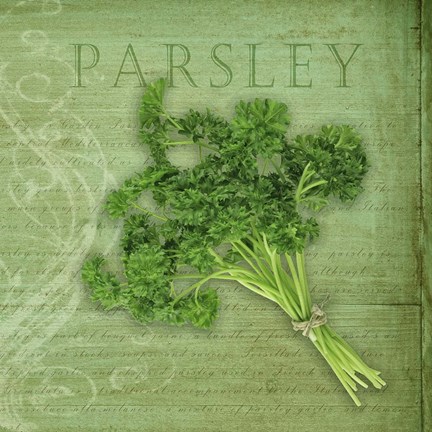 Framed Classic Herbs Parsley Print