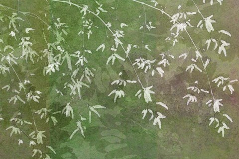 Framed Floral Flurry Green Print