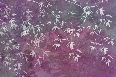 Framed Floral Flurry Violet Print