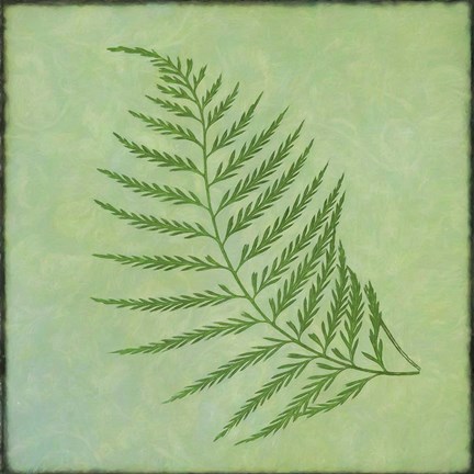 Framed Fern Series Vintage I Print