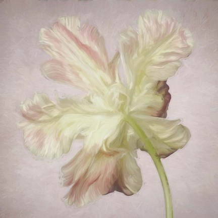 Framed Pink Parrot Tulip Painting II Print