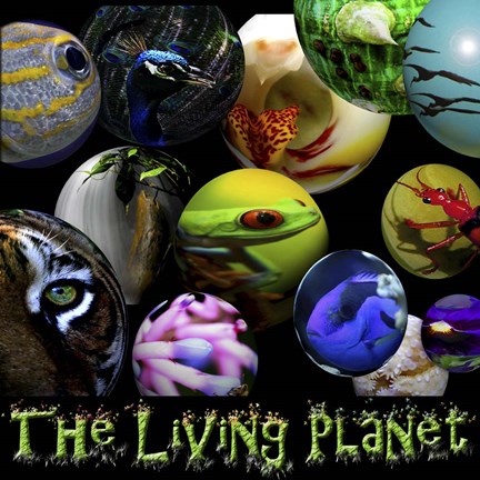 Framed Living Planet Print