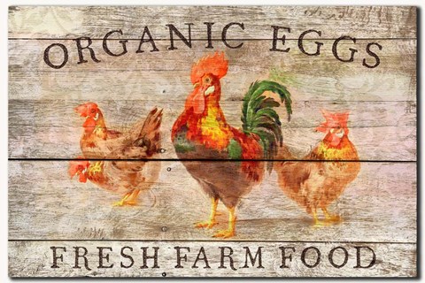Framed Organic Eggs Print