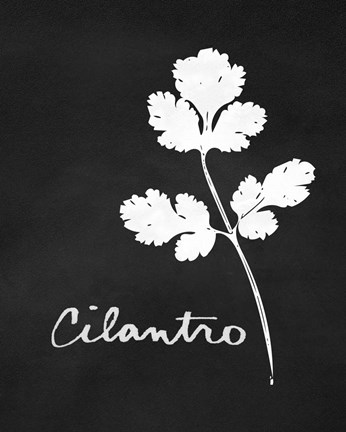 Framed Cilantro Print