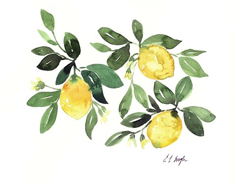 Framed Lemons and Leaves Print
