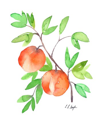 Framed Two Watercolor Peaches Print