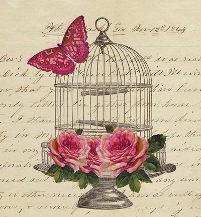 Framed Birdcage and Butterfly Print