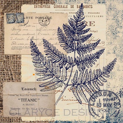 Framed Blue Fern Stamp Print