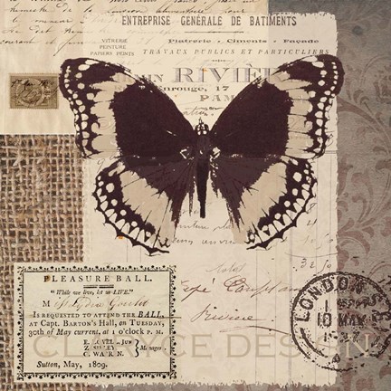 Framed Butterfly Stamp Print