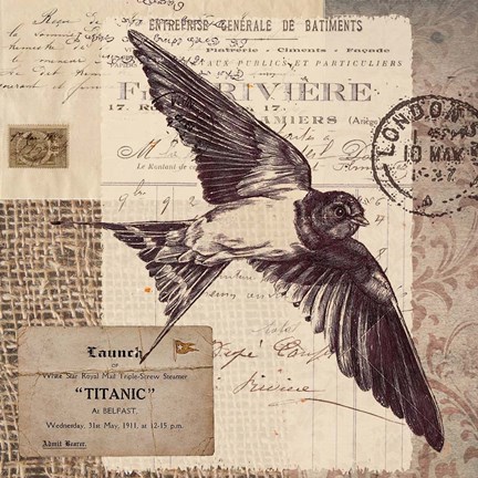 Framed Swallow Stamp Print