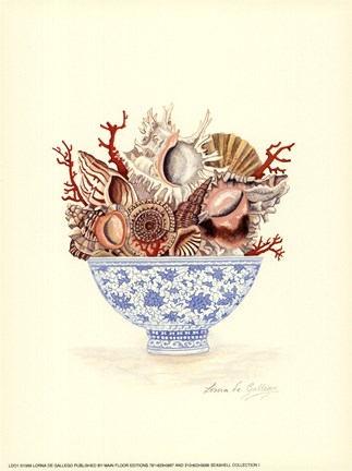 Framed Seashell Collection I Print