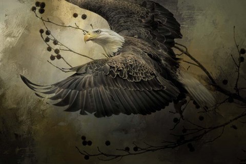 Framed Eagle Rising Print