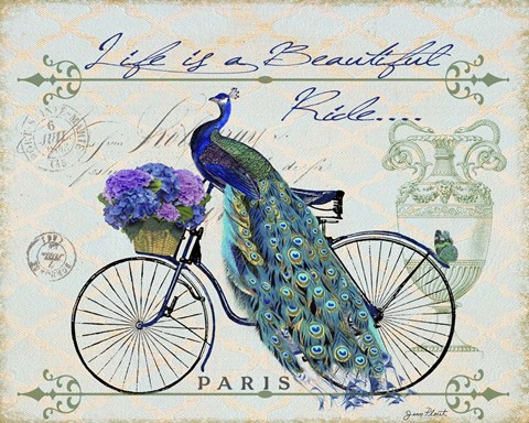 Framed Peacock On Bicylce II Print