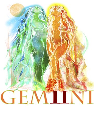 Framed Gemini Print