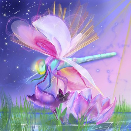 Framed Dragonfly Lotus Print