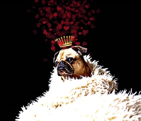 Framed Royal Love Pup - Pug Print