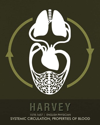Framed Harvey Print