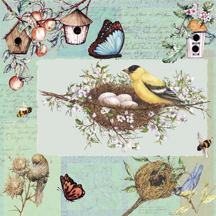 Framed Birds &amp; Bees Color-Blocks Green Print