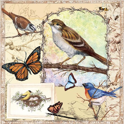 Framed Birds, Butterflys, Bees-Pastels Print