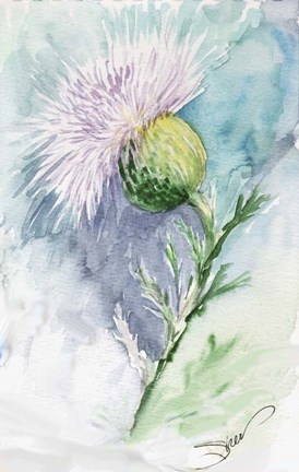 Framed Thistle Watercolor Sketch Print
