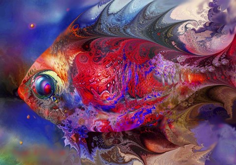 Framed Beautiful Red Fish Print