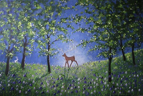 Framed Evening In The Bluebell Wood Print