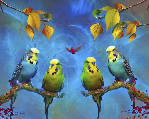 Framed Color Birds Print